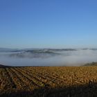 Nebbia mattutina