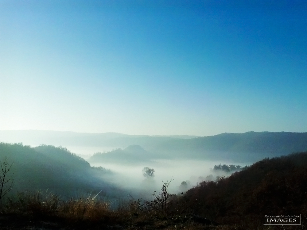 Nebbia mattutina