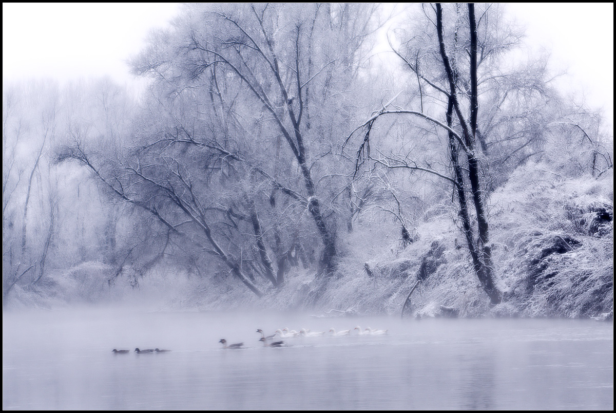 Nebbia mattutina lungo il fiume Po