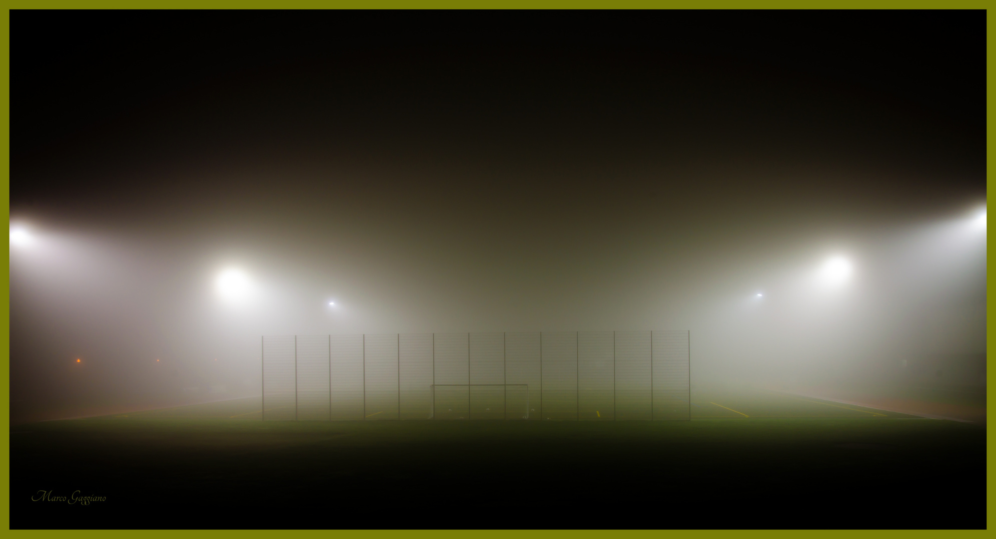 Nebbia nel campo