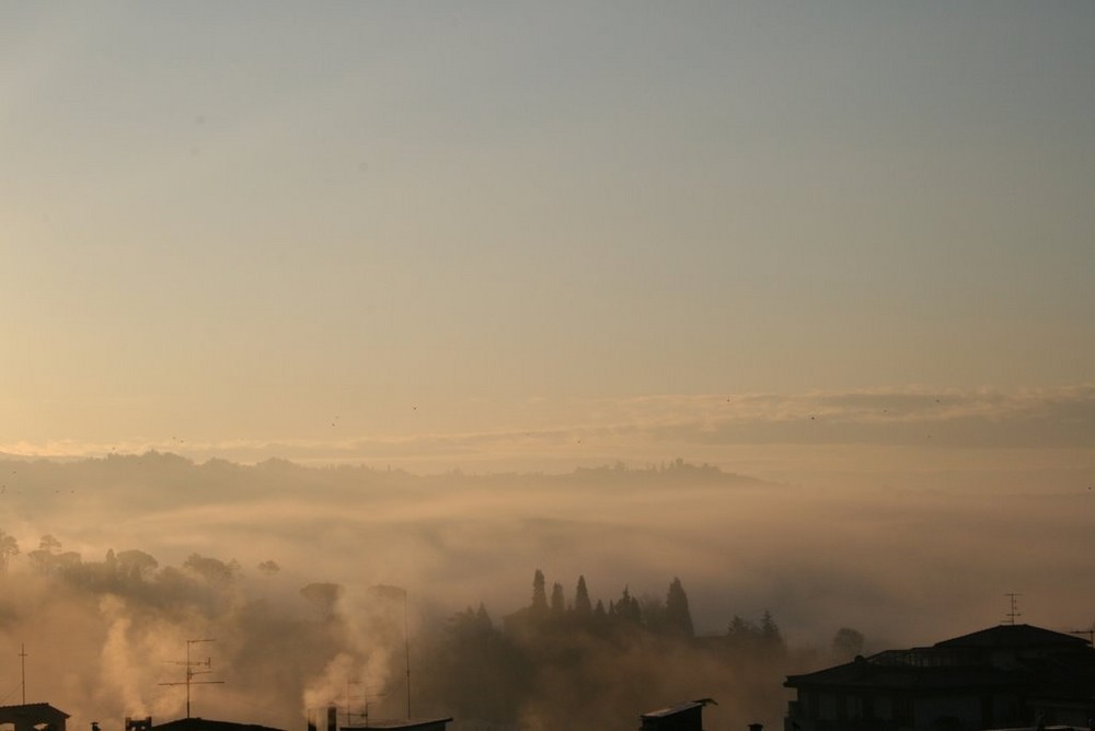 nebbia nel valdarno 2