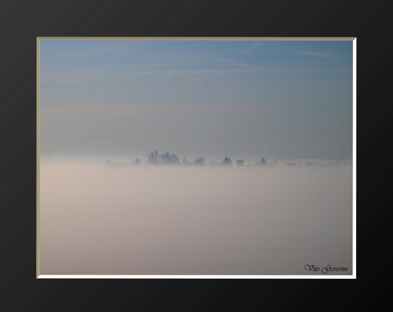 Nebbia nella campagna cremonese