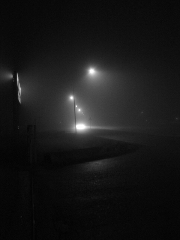 nebbia nella notte