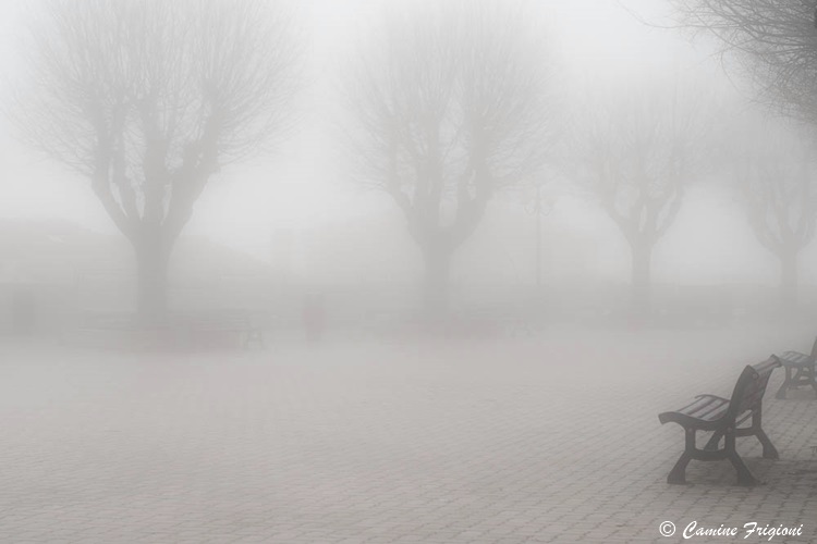 Nebbia: nessuno si vede più