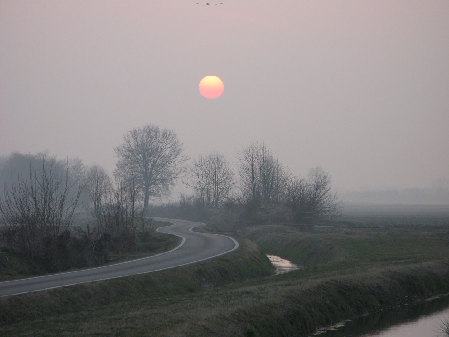 nebbia padana