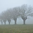 Nebbia padana