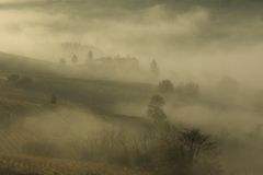 nebbia su tela