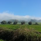 NEBBIA SUI COLLI