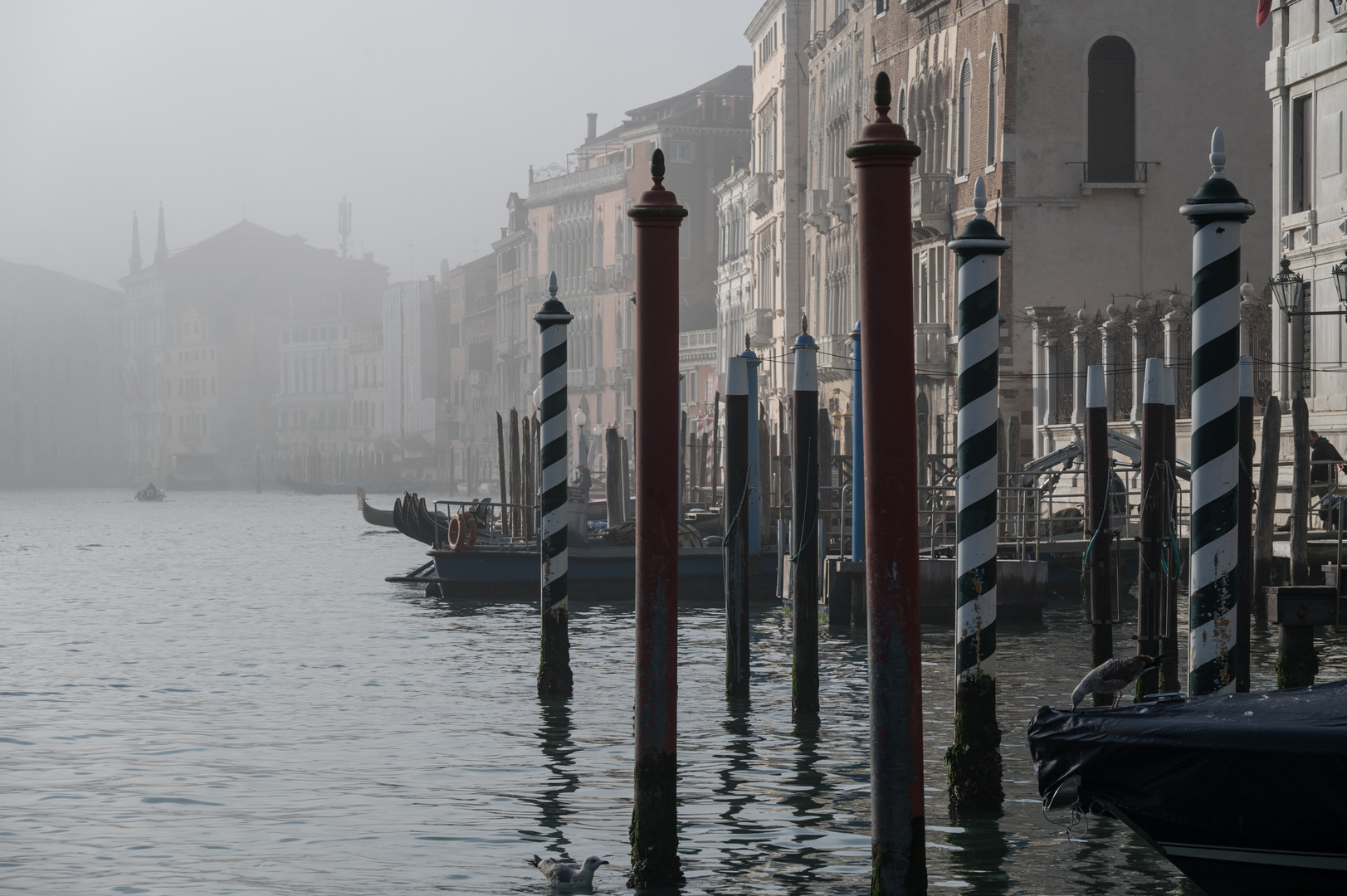 nebbia sul Canal Grande