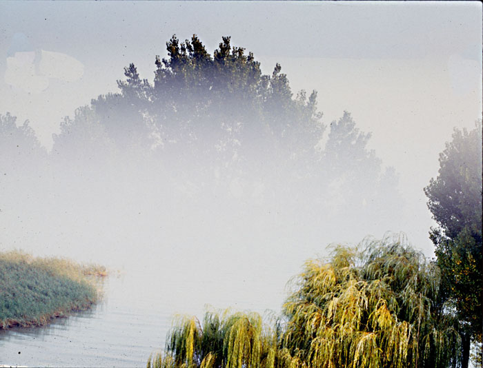 nebbia sul fiume