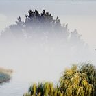nebbia sul fiume