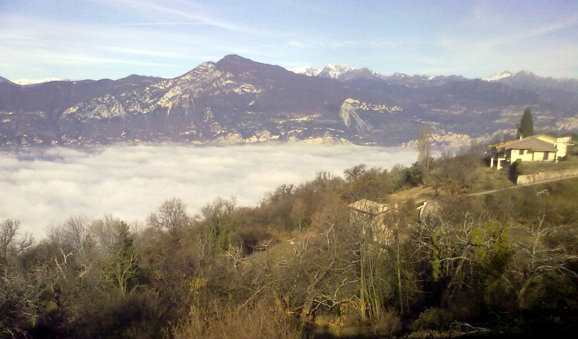 Nebbia sul lago