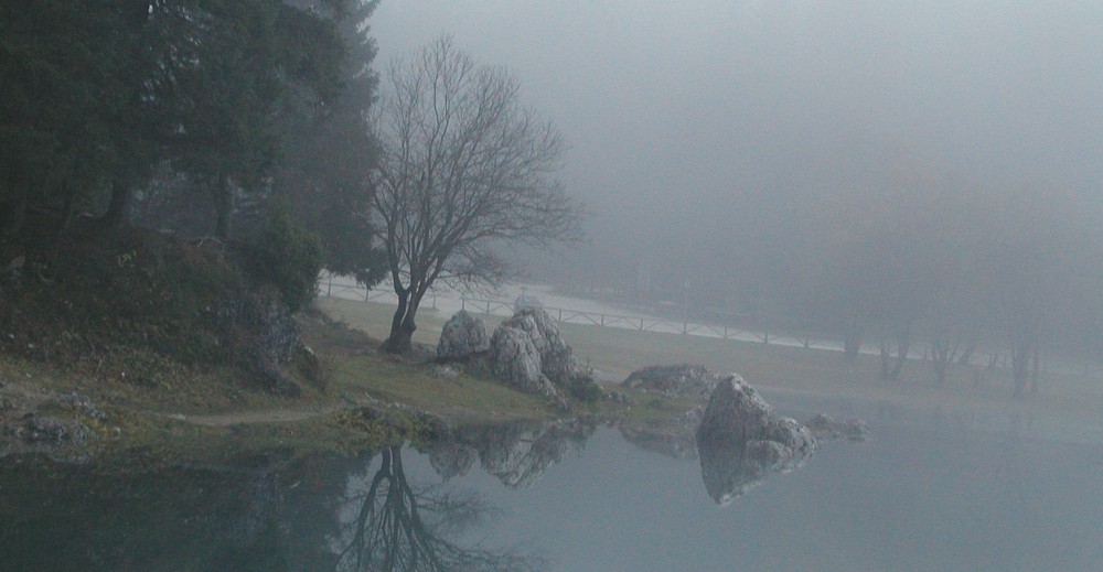 Nebbia sul lago di Fusine