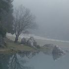 Nebbia sul lago di Fusine