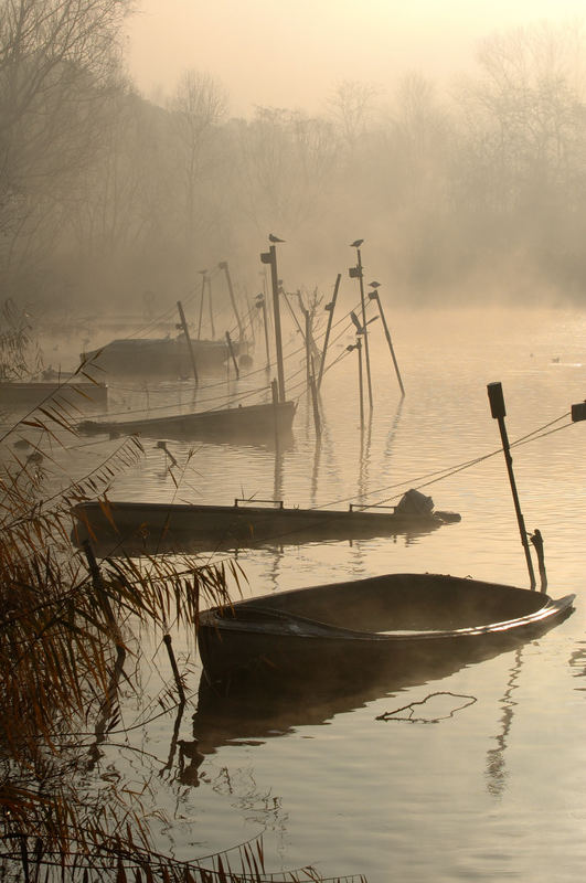 Nebbia sul lago