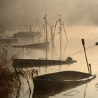 Nebbia sul lago