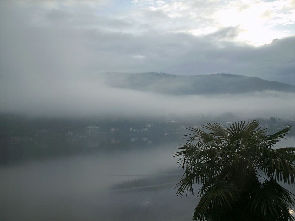 nebbia sul lago