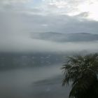 nebbia sul lago