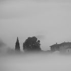 Nebbia sulla campagna