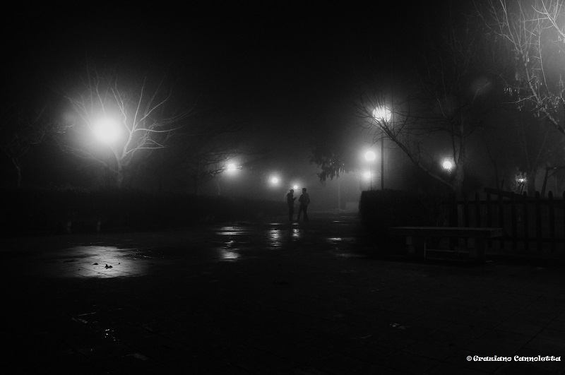 nebbia sulla villa di strudà