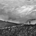 Nebbia sullo sfondo ...