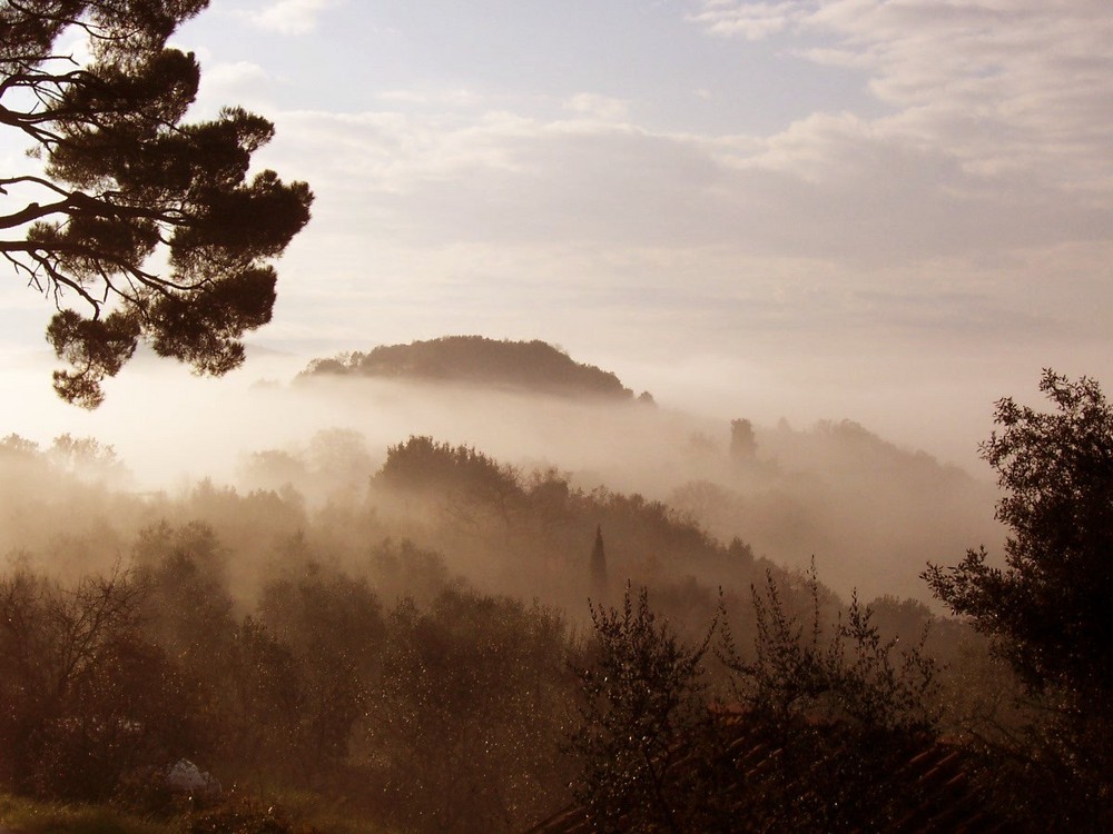 Nebbia toscana