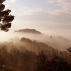 Nebbia toscana