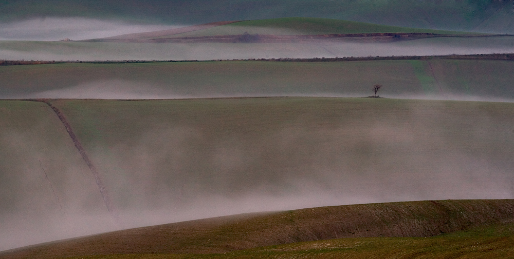 nebbia1