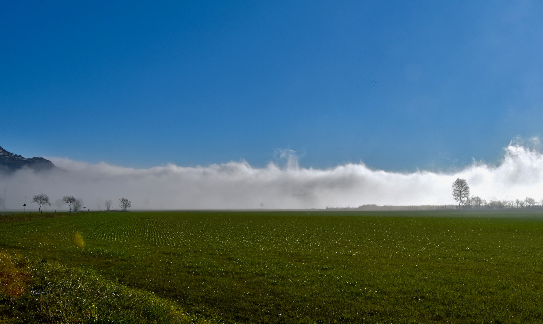 Nebbie 2 Foto Immagini paesaggi, campagna, fotos Foto su