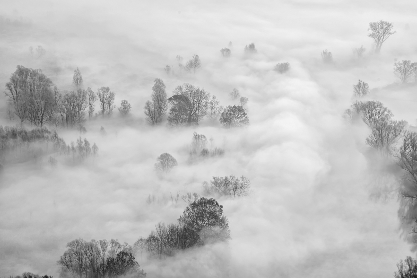 Nebbie Foto Immagini paesaggi, bianco, nebbia Foto su