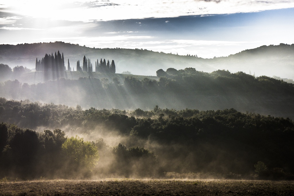 Nebbie basse all'alba