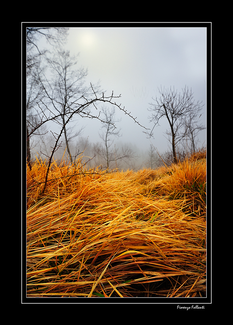 ...NEBBIE IN APPENNINO...