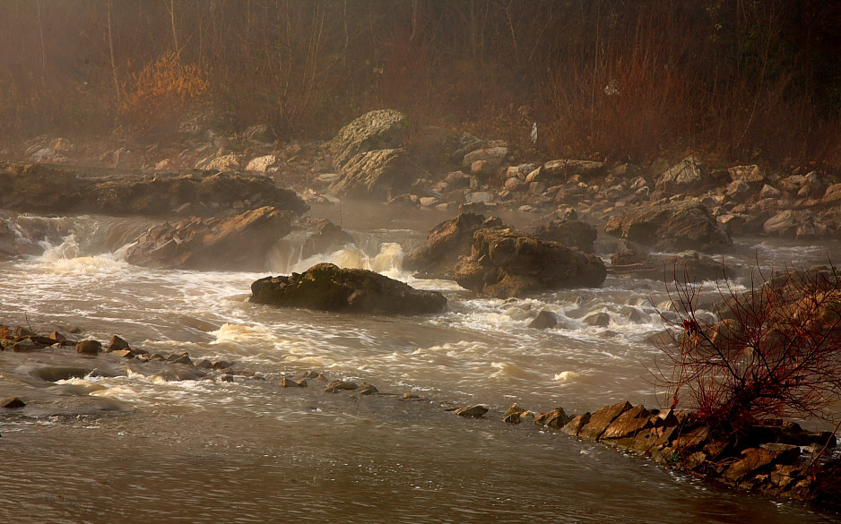 nebbie sul fiume ARNO