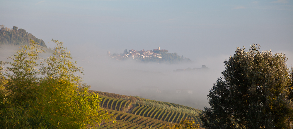 nebbio in piemonte