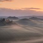 nebbione
