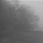 Nebel