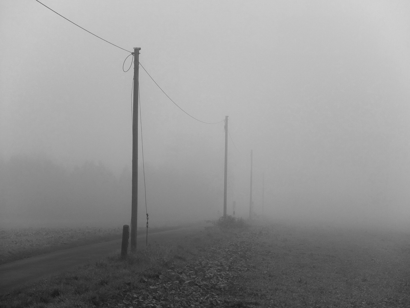 Nebel 02