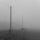 Nebel 02