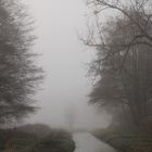 Nebel......