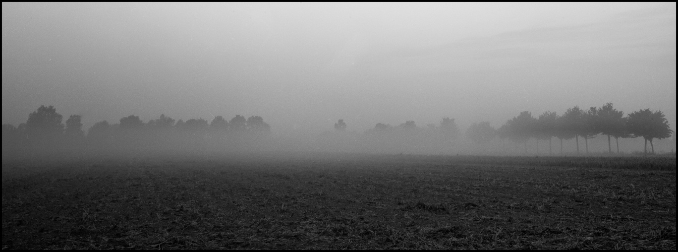 Nebel