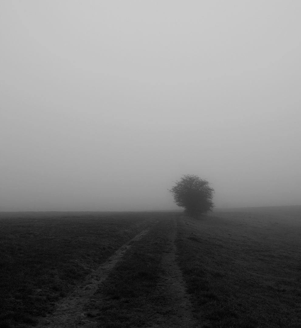 Nebel