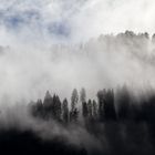 Nebel (1)