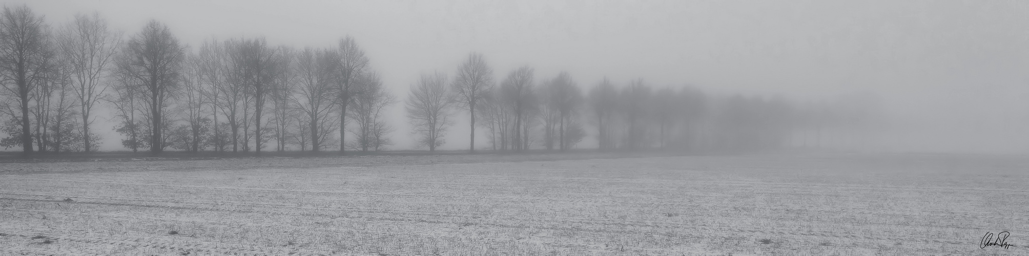 nebel 1