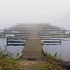 Nebel - 1 - Unterbacher See / Düsseldorf