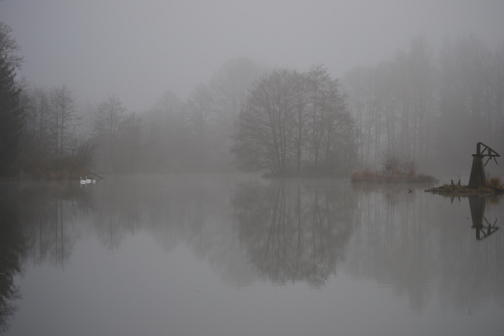 Nebel - 13. November 2012