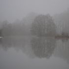 Nebel - 13. November 2012