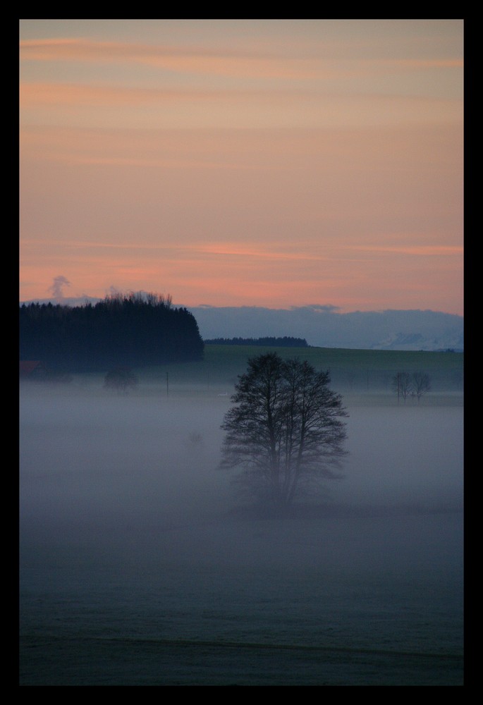 ~Nebel~