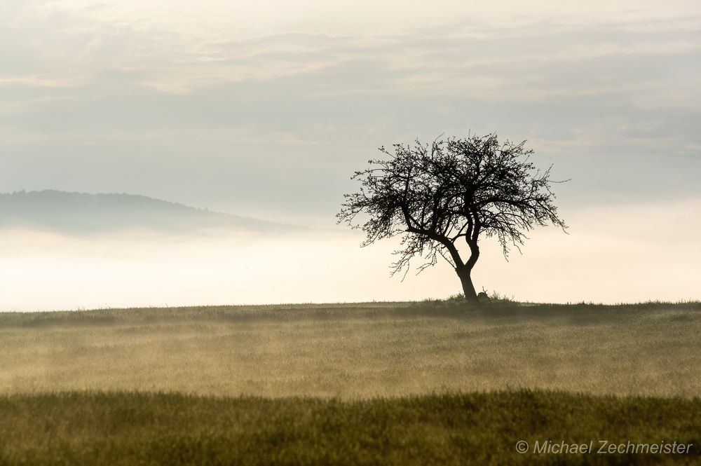 Nebel...