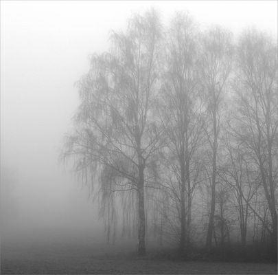 nebel