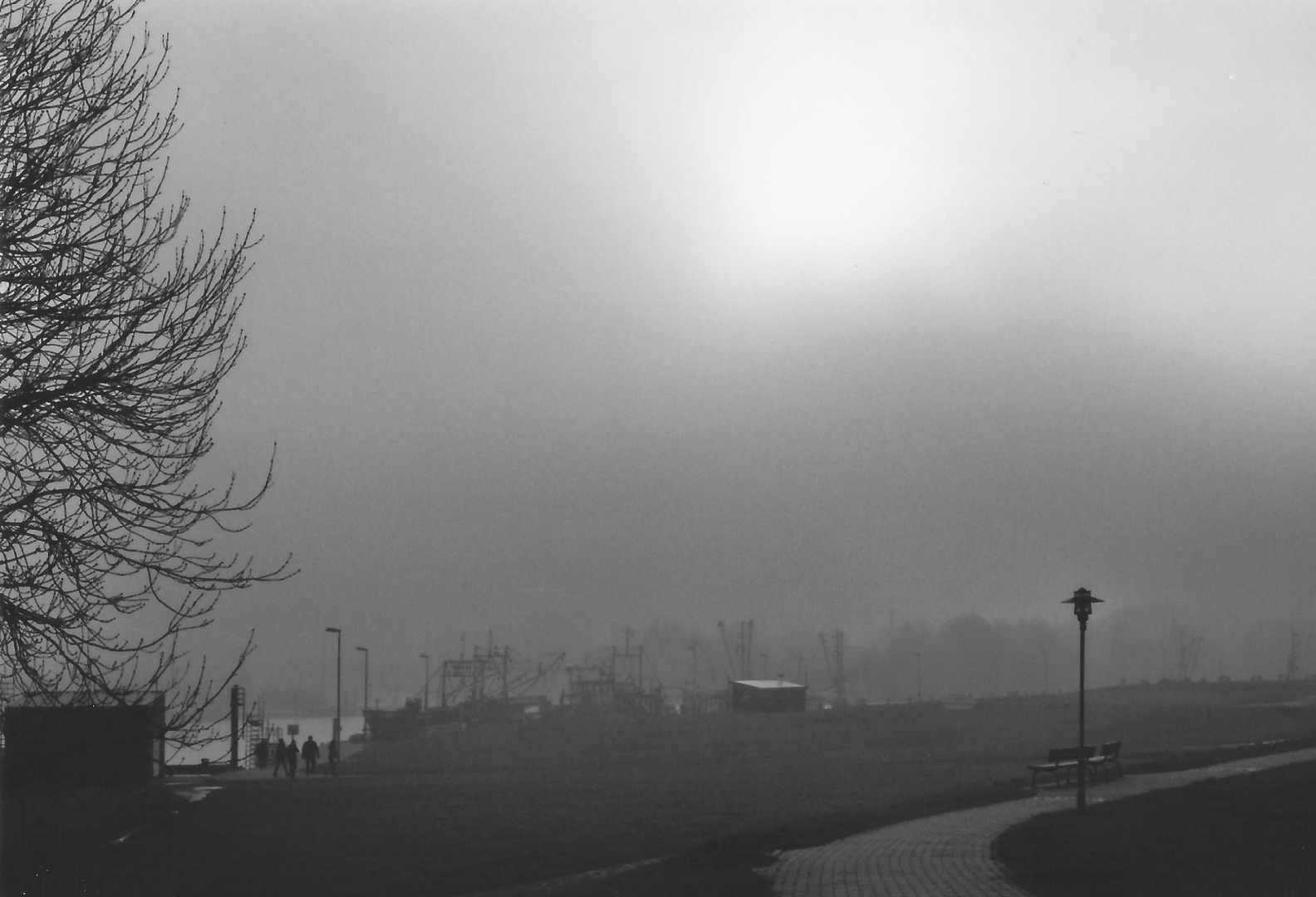 Nebel